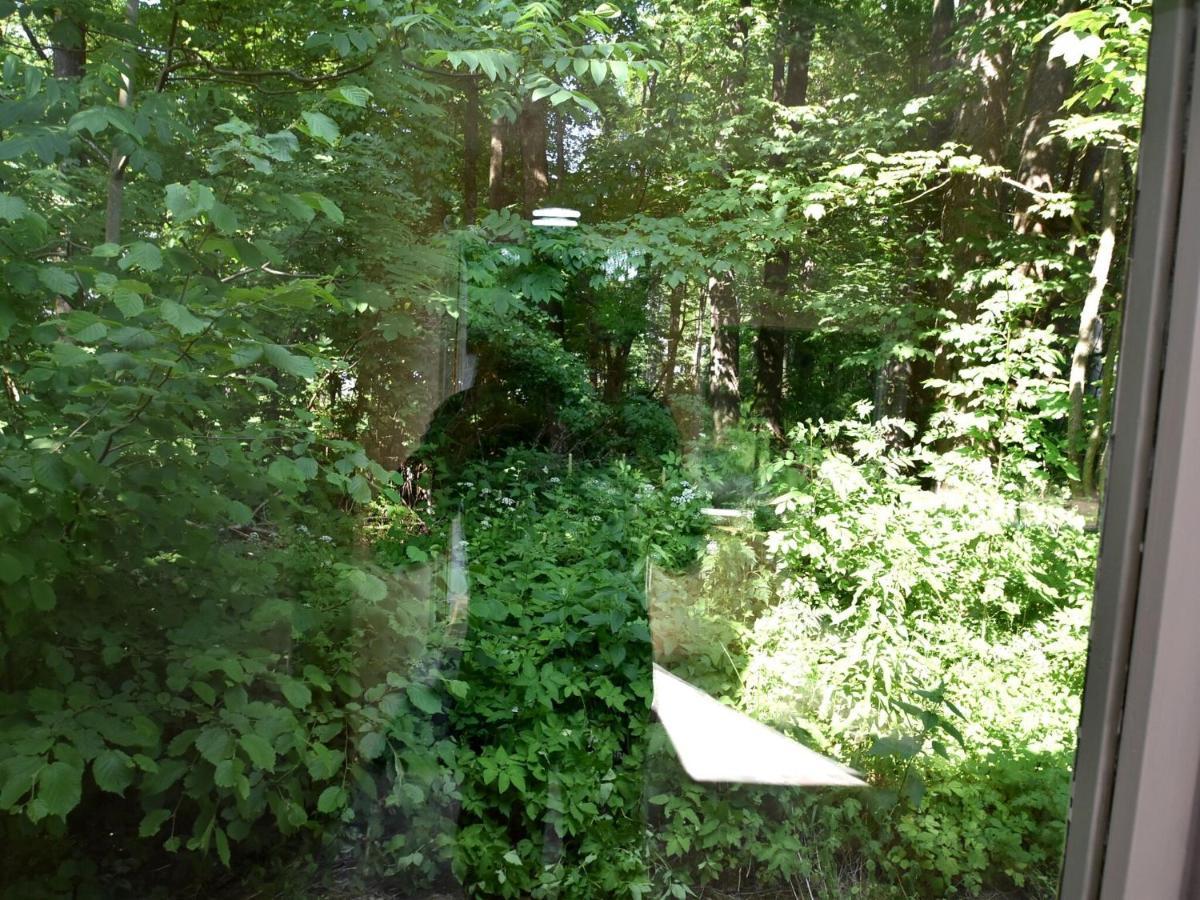 Bungalow In The Harz Mountains With Terrace Elbingerode  Εξωτερικό φωτογραφία